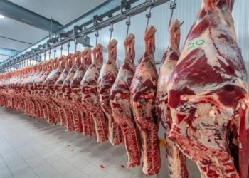 Carne argentina: EEUU podría aumentar cuota a 80.000 toneladas