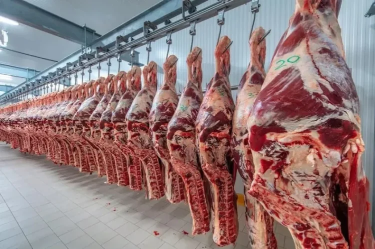 Carne argentina: EEUU podría aumentar cuota a 80.000 toneladas