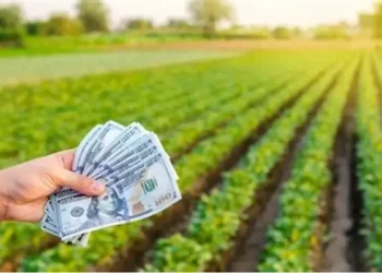 Retenciones cero: Desplome de liquidaciones clave para el dólar.