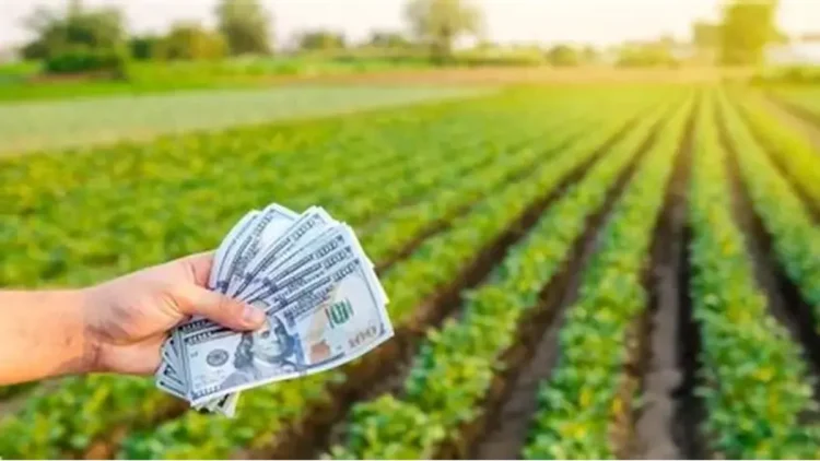 Retenciones cero: Desplome de liquidaciones clave para el dólar.