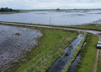 Sube Riesgo Hídrico y Baja Cobertura de Gas en 1er Semestre.