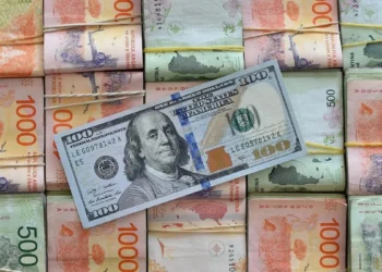 Remonetización y deuda privada: ¿la conexión?