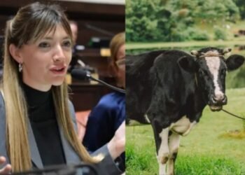 El campo en pie de guerra por tasa a las vacas.