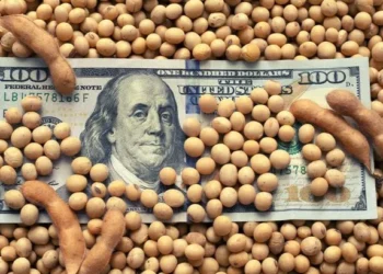 El Gobierno reduce retenciones a la soja: 26% al 24%.