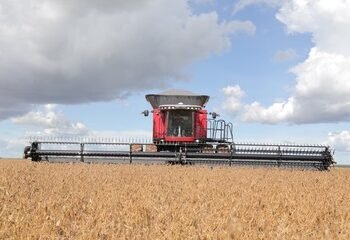 Retenciones: el Gobierno confirmó las nuevas alícuotas.