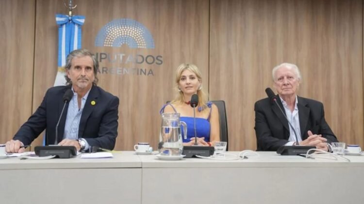 La “Inocencia Fiscal” de Benegas Lynch tras “No ser el Congo”.