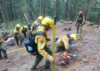 Ignacio Torres: fuego en Chubut “contenido en un 85%”.
