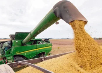 Enero récord para el campo: Ingreso de divisas histórico.