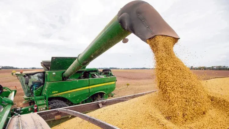 Enero récord para el campo: Ingreso de divisas histórico.