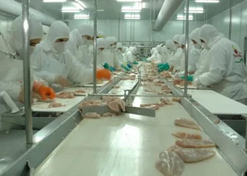 Incertidumbre para los trabajadores de Granja Tres Arroyos tras el cierre de la planta
