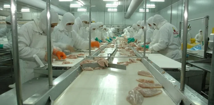 Incertidumbre para los trabajadores de Granja Tres Arroyos tras el cierre de la planta