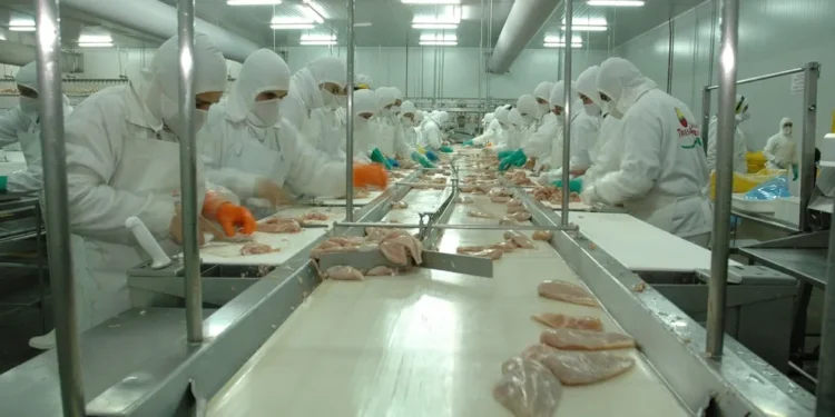 Incertidumbre para los trabajadores de Granja Tres Arroyos tras el cierre de la planta