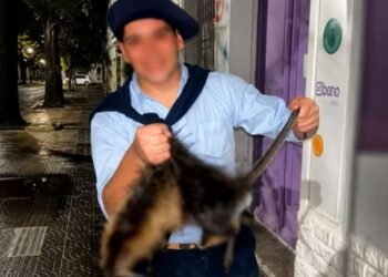 Dos universitarios enfrentan cargos tras la muerte de un coipo grabada y difundida en redes sociales