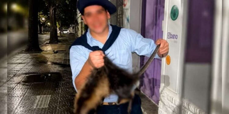 Dos universitarios enfrentan cargos tras la muerte de un coipo grabada y difundida en redes sociales