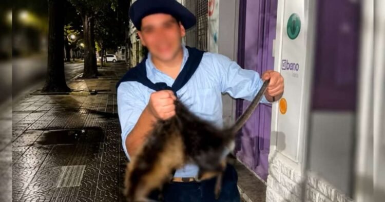 Dos universitarios enfrentan cargos tras la muerte de un coipo grabada y difundida en redes sociales