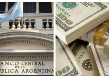 Dólar oficial y dólar blue: cotizaciones del 25 de junio