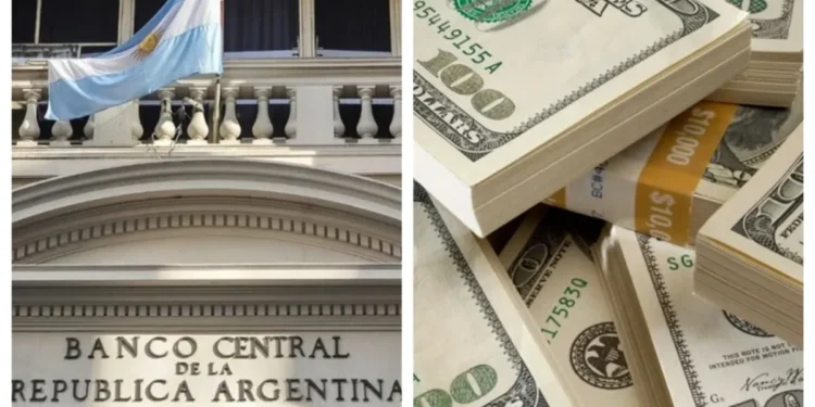 Dólar oficial y dólar blue: cotizaciones del 25 de junio