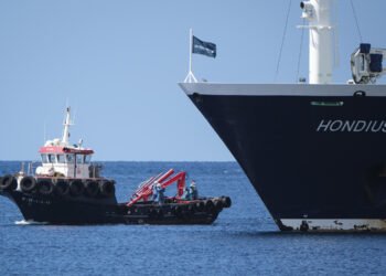 La OMS confirma el cese del brote de hantavirus asociado al crucero zarpado desde Argentina