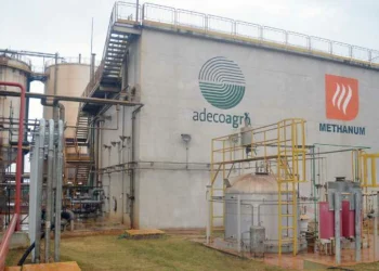 Empresa agroindustrial argentina refuerza su presencia en Brasil con nueva adquisición