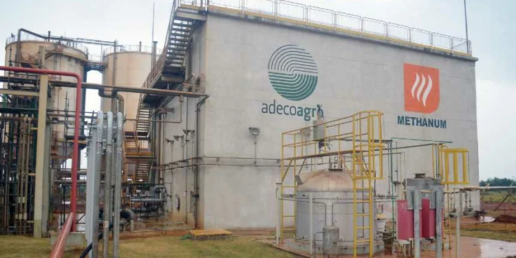 Empresa agroindustrial argentina refuerza su presencia en Brasil con nueva adquisición