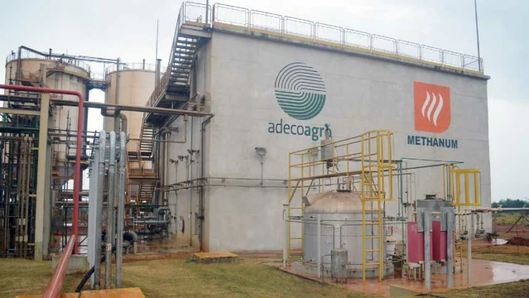 Empresa agroindustrial argentina refuerza su presencia en Brasil con nueva adquisición