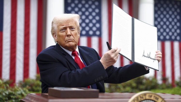 Donald Trump intensifica la tensión con China y regula el comercio de energía solar y semiconductores