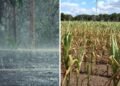 El riesgo de un nuevo período lluvioso cambia las decisiones de los productores bonaerenses
