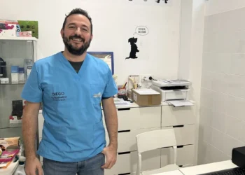 Veterinario destaca los beneficios de pasear a los gatos