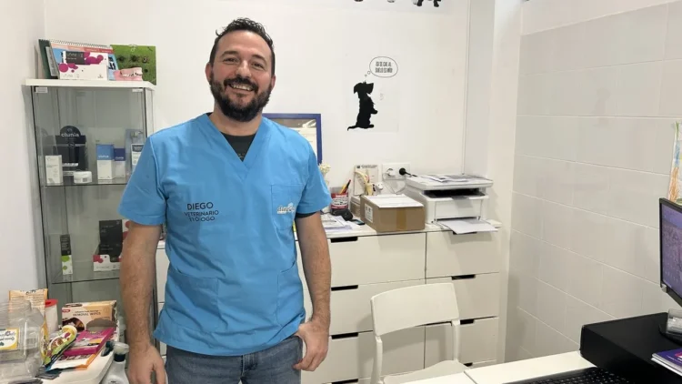 Veterinario destaca los beneficios de pasear a los gatos