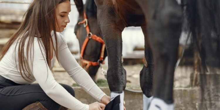 Un santuario neozelandés abre sus puertas a voluntarios para cuidar animales