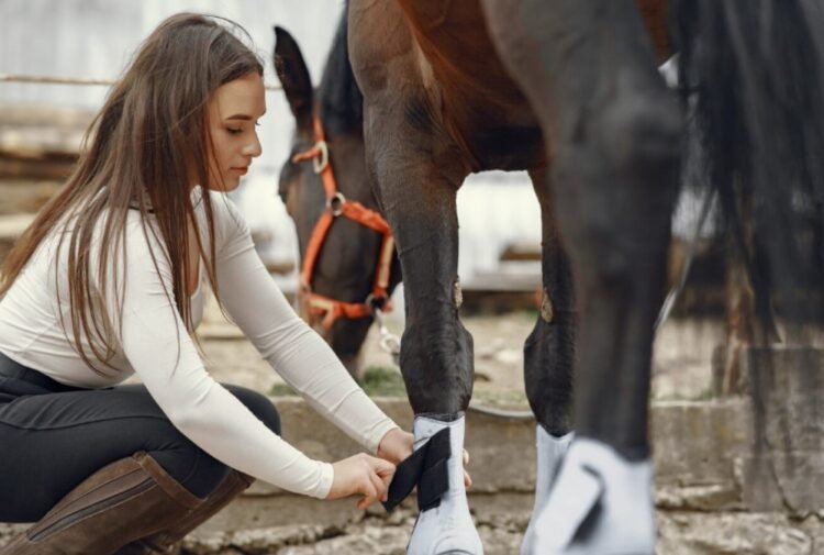 Un santuario neozelandés abre sus puertas a voluntarios para cuidar animales