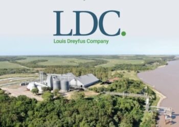 El nuevo impulso del sector agro: inversiones por u$s 3800 millones