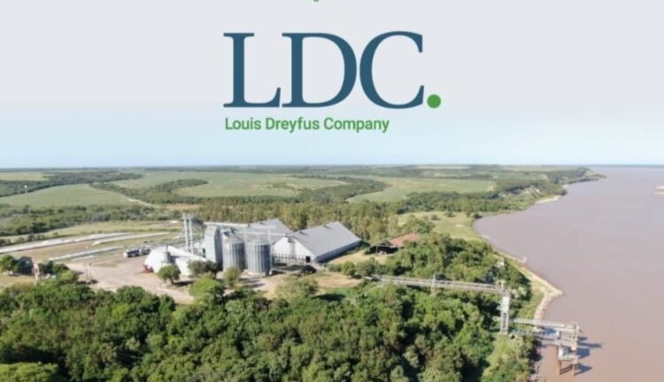 El nuevo impulso del sector agro: inversiones por u$s 3800 millones