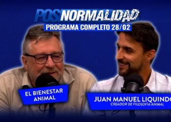 Juan Manuel Liquindoli sobre la conducta canina: “Decir que un perro se venga es humanizarlo; si rompe cosas es por frustración”