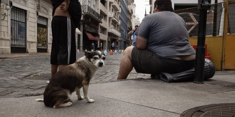 Hasta el 30 de septiembre. Últimos días para inscribirse en el concurso fotográfico gente de mi ciudad