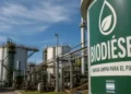 Biocombustibles: los argumentos detrás del nuevo esquema de etanol y su impacto en la matriz energética