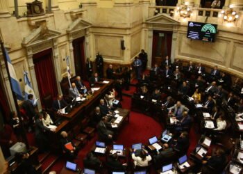 El Senado acelera el tratamiento de la reforma del Banco Central y la ley de Inocencia Fiscal