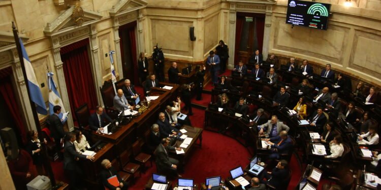El Senado acelera el tratamiento de la reforma del Banco Central y la ley de Inocencia Fiscal