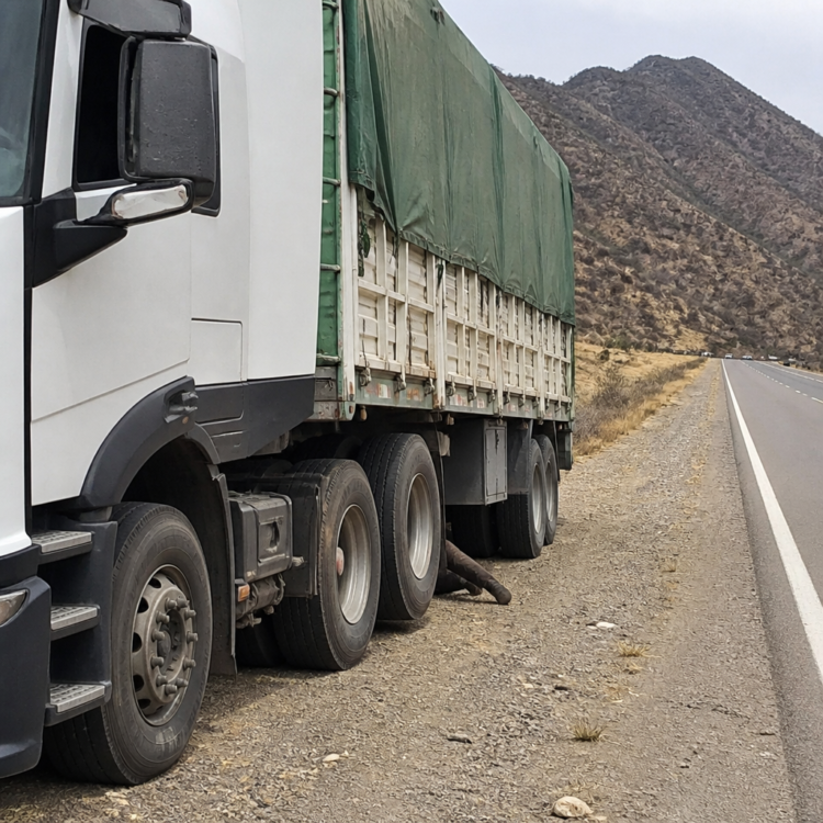 Tragedia en Salta: un camionero falleció aplastado por el acoplado al revisar su vehículo