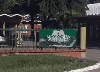 La Justicia abrió un salvataje para evitar la quiebra de una algodonera vinculada a la familia Vicentin