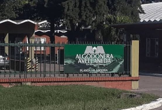 La Justicia abrió un salvataje para evitar la quiebra de una algodonera vinculada a la familia Vicentin