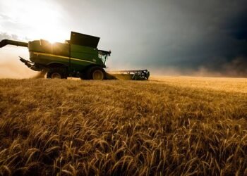 El agro liquidó US$2.750 millones en agosto y acumula US$19.047 millones en el año