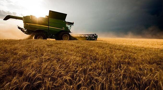 El agro liquidó US$2.750 millones en agosto y acumula US$19.047 millones en el año