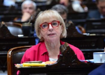 Diputados avanzó con un sistema nacional para alertar y rastrear medicamentos de alto riesgo