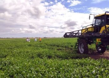 El agro argentino busca ganar eficiencia para competir con Brasil y Estados Unidos