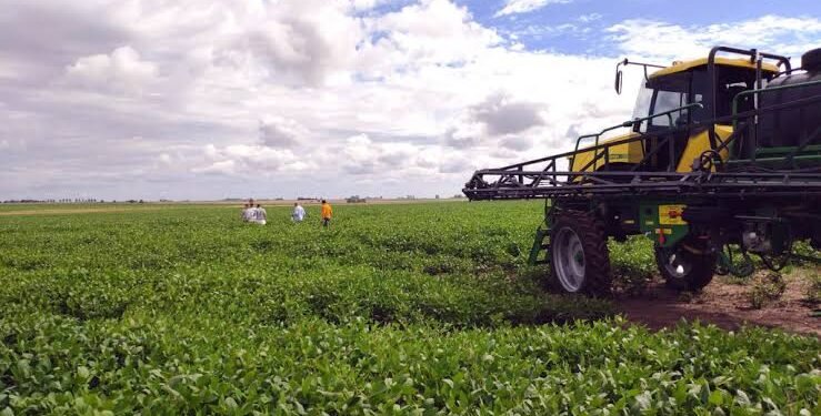 El agro argentino busca ganar eficiencia para competir con Brasil y Estados Unidos