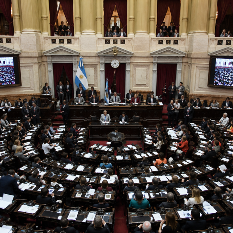 Sesión de Diputados: novedades sobre la derogación del DNU 70/2023 y la emergencia en discapacidad